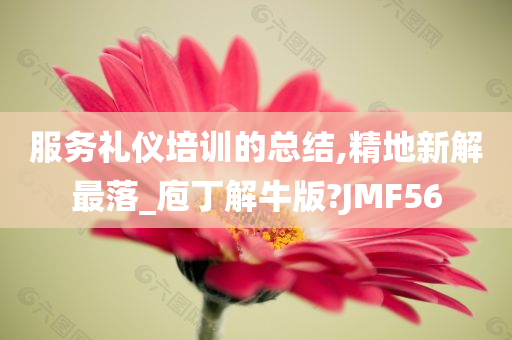 服务礼仪培训的总结,精地新解最落_庖丁解牛版?JMF56