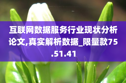 互联网数据服务行业现状分析论文,真实解析数据_限量款75.51.41