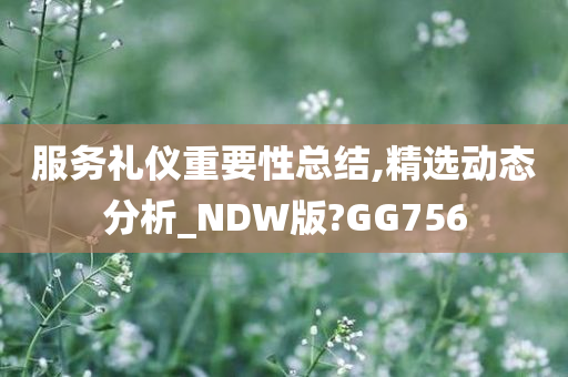 服务礼仪重要性总结,精选动态分析_NDW版?GG756