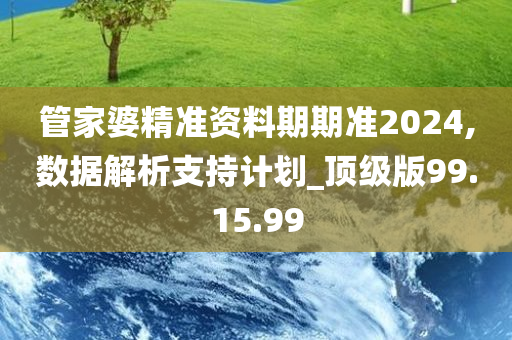 管家婆精准资料期期准2024,数据解析支持计划_顶级版99.15.99