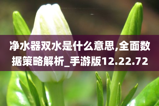 净水器双水是什么意思,全面数据策略解析_手游版12.22.72