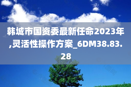 韩城市国资委最新任命2023年,灵活性操作方案_6DM38.83.28