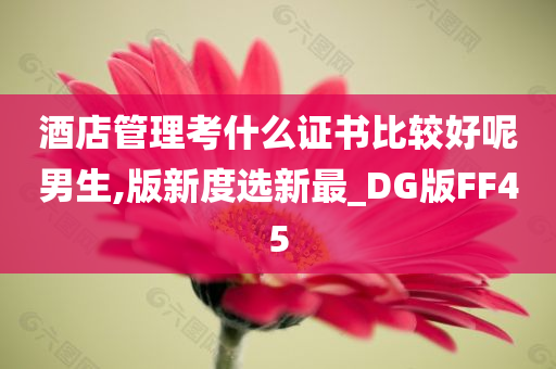 酒店管理考什么证书比较好呢男生,版新度选新最_DG版FF45