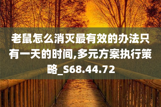 老鼠怎么消灭最有效的办法只有一天的时间,多元方案执行策略_S68.44.72