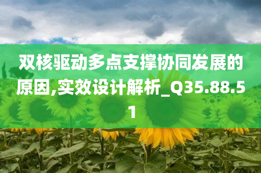 双核驱动多点支撑协同发展的原因,实效设计解析_Q35.88.51