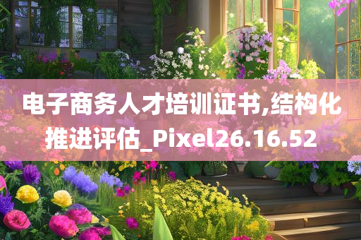 电子商务人才培训证书,结构化推进评估_Pixel26.16.52