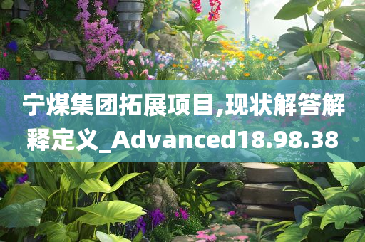 宁煤集团拓展项目,现状解答解释定义_Advanced18.98.38