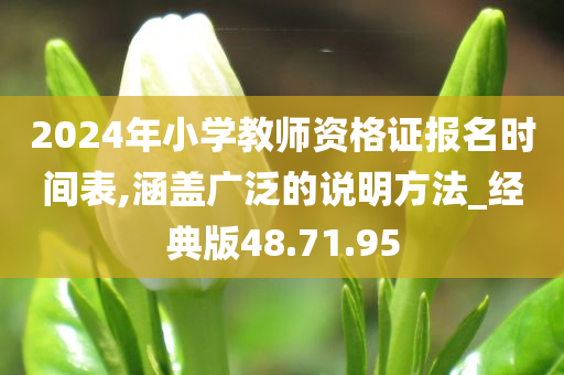 2024年小学教师资格证报名时间表,涵盖广泛的说明方法_经典版48.71.95