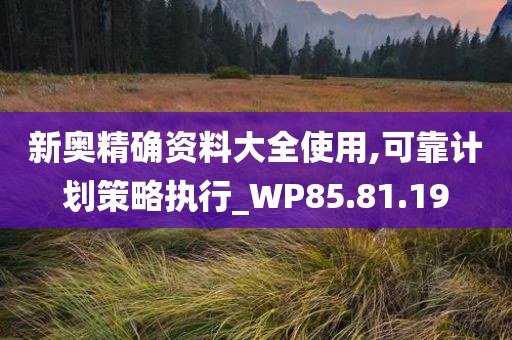 新奥精确资料大全使用,可靠计划策略执行_WP85.81.19