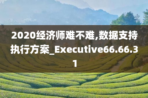 2020经济师难不难,数据支持执行方案_Executive66.66.31