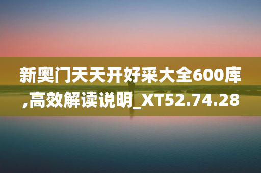 新奥门天天开好采大全600库,高效解读说明_XT52.74.28