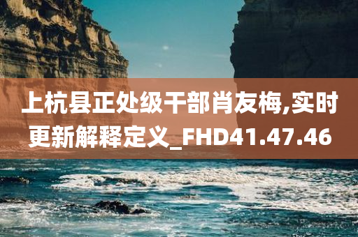 上杭县正处级干部肖友梅,实时更新解释定义_FHD41.47.46