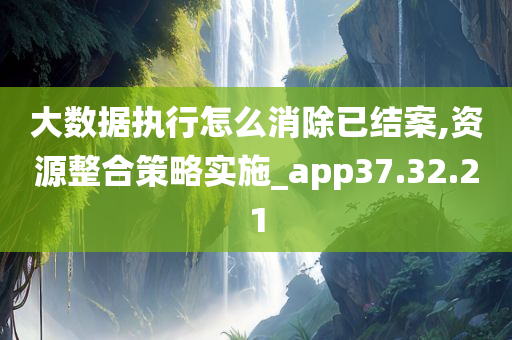 大数据执行怎么消除已结案,资源整合策略实施_app37.32.21