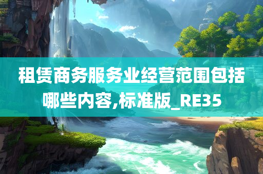 租赁商务服务业经营范围包括哪些内容,标准版_RE35