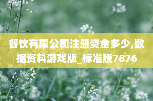 餐饮有限公司注册资金多少,数据资料游戏版_标准版7876