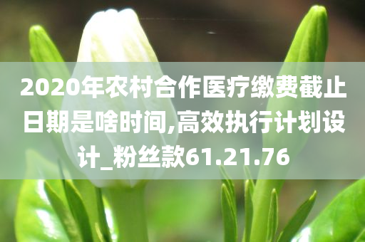 2020年农村合作医疗缴费截止日期是啥时间,高效执行计划设计_粉丝款61.21.76