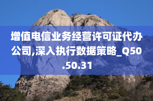 增值电信业务经营许可证代办公司,深入执行数据策略_Q50.50.31