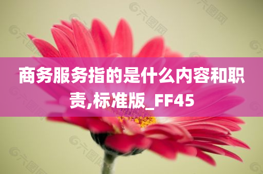 商务服务指的是什么内容和职责,标准版_FF45