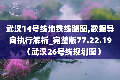 武汉14号线地铁线路图,数据导向执行解析_完整版77.22.19（武汉26号线规划图）