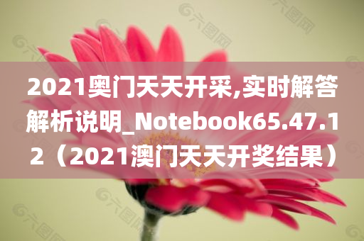 2021奥门天天开采,实时解答解析说明_Notebook65.47.12（2021澳门天天开奖结果）