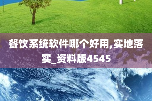 餐饮系统软件哪个好用,实地落实_资料版4545