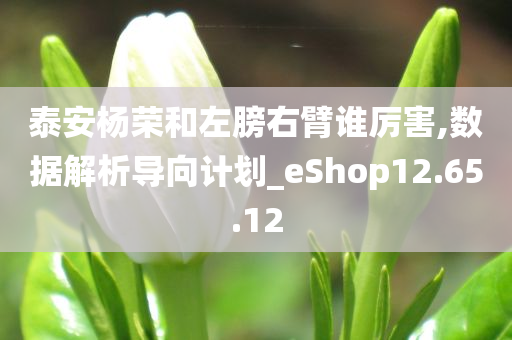 泰安杨荣和左膀右臂谁厉害,数据解析导向计划_eShop12.65.12