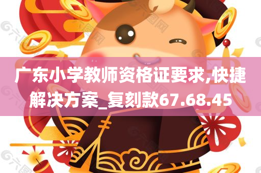 广东小学教师资格证要求,快捷解决方案_复刻款67.68.45