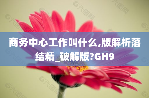 商务中心工作叫什么,版解析落结精_破解版?GH9