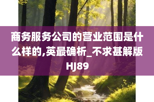 商务服务公司的营业范围是什么样的,英最确析_不求甚解版HJ89