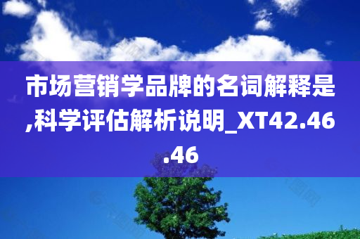 市场营销学品牌的名词解释是,科学评估解析说明_XT42.46.46