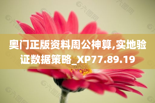 奥门正版资料周公神算,实地验证数据策略_XP77.89.19