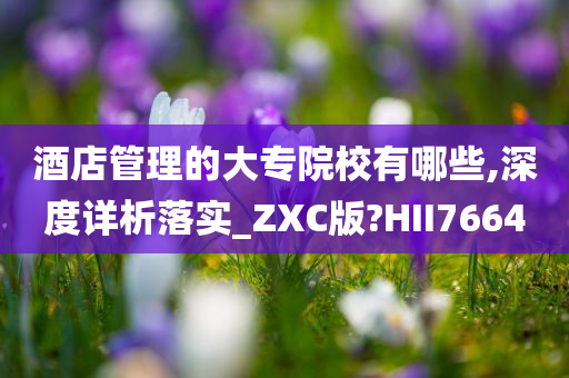 酒店管理的大专院校有哪些,深度详析落实_ZXC版?HII7664