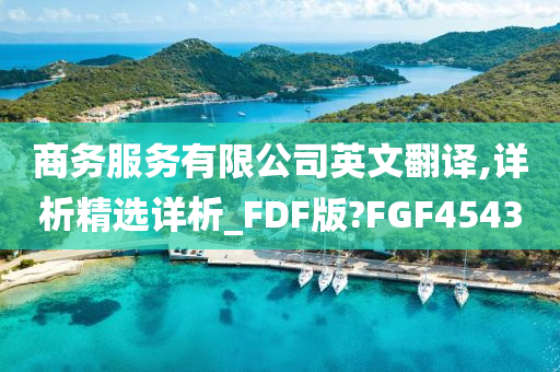 商务服务有限公司英文翻译,详析精选详析_FDF版?FGF4543