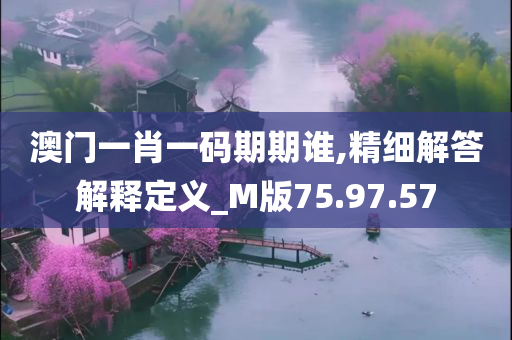 澳门一肖一码期期谁,精细解答解释定义_M版75.97.57