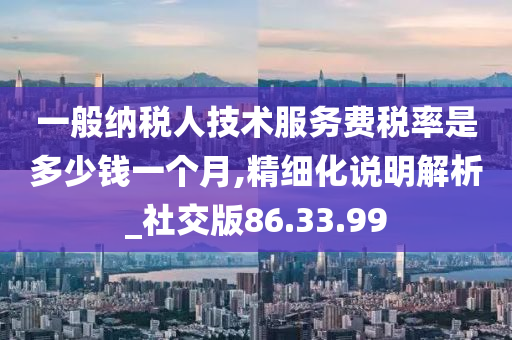 一般纳税人技术服务费税率是多少钱一个月,精细化说明解析_社交版86.33.99