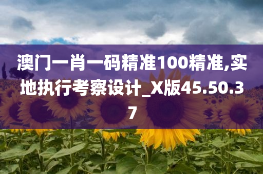 澳门一肖一码精准100精准,实地执行考察设计_X版45.50.37