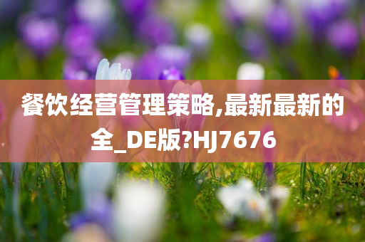 餐饮经营管理策略,最新最新的全_DE版?HJ7676