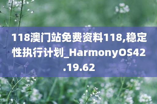 118澳门站免费资料118,稳定性执行计划_HarmonyOS42.19.62