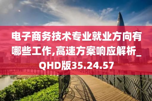 电子商务技术专业就业方向有哪些工作,高速方案响应解析_QHD版35.24.57