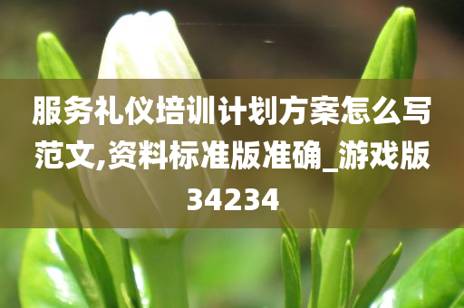 服务礼仪培训计划方案怎么写范文,资料标准版准确_游戏版34234