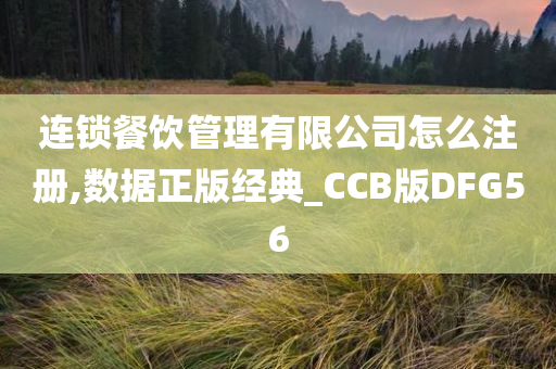 连锁餐饮管理有限公司怎么注册,数据正版经典_CCB版DFG56