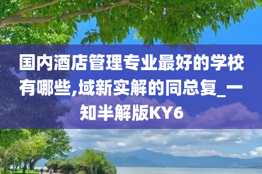 国内酒店管理专业最好的学校有哪些,域新实解的同总复_一知半解版KY6