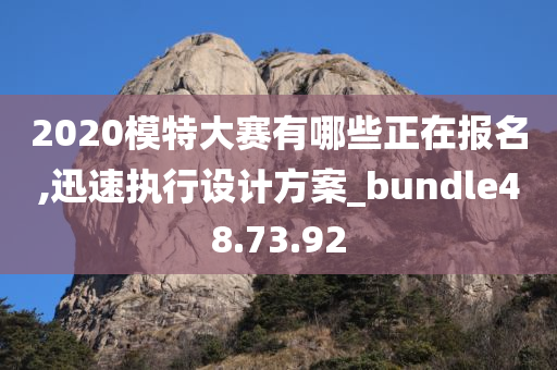 2020模特大赛有哪些正在报名,迅速执行设计方案_bundle48.73.92