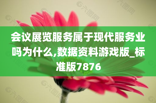 会议展览服务属于现代服务业吗为什么,数据资料游戏版_标准版7876