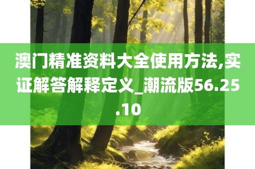 澳门精准资料大全使用方法,实证解答解释定义_潮流版56.25.10