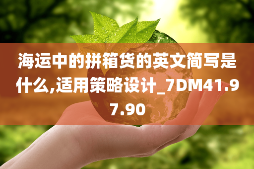 海运中的拼箱货的英文简写是什么,适用策略设计_7DM41.97.90