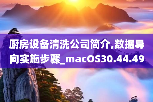 厨房设备清洗公司简介,数据导向实施步骤_macOS30.44.49