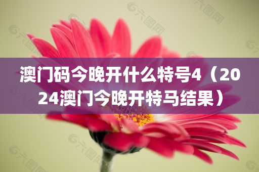 澳门码今晚开什么特号4（2024澳门今晚开特马结果）