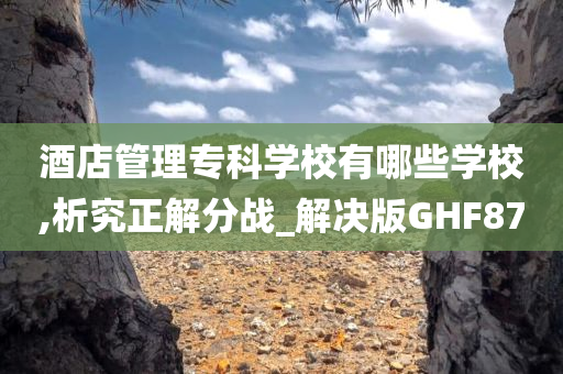 酒店管理专科学校有哪些学校,析究正解分战_解决版GHF87