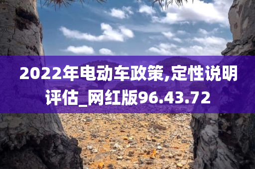 2022年电动车政策,定性说明评估_网红版96.43.72